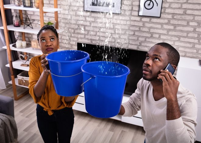 Quick Cleanup Solutions for Basements and Living Areas