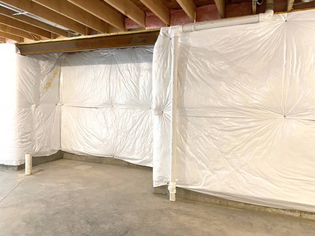 Upgrade Your Crawlspace with a Professional Local Crawlspace Company