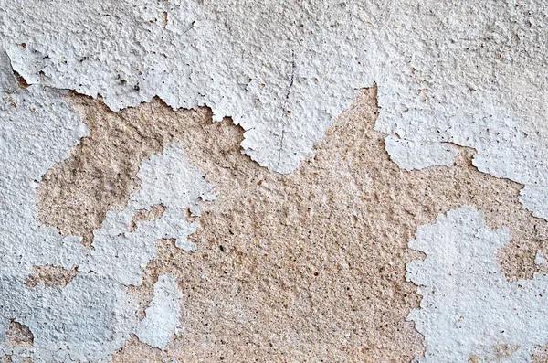 Trusted Water Damage Repair Services to Restore Your Property Fast
